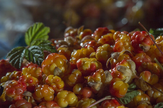 Сloudberriy berries in the spoon on the stone