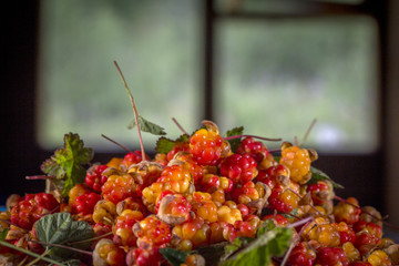 Сloudberriy berries in the spoon on the stone