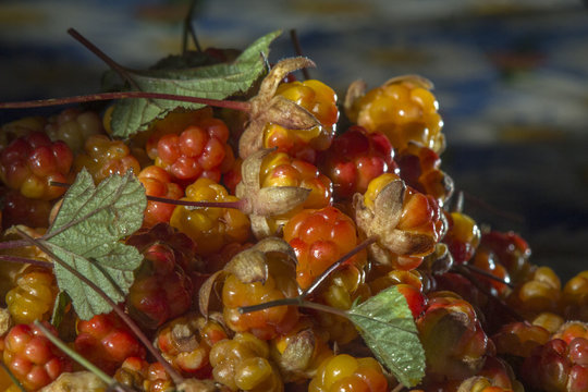 Сloudberriy berries in the spoon on the stone