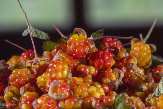 Сloudberriy berries in the spoon on the stone