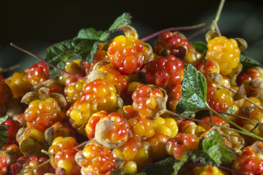 Сloudberriy berries in the spoon on the stone