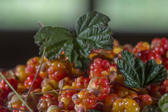 Сloudberriy berries in the spoon on the stone