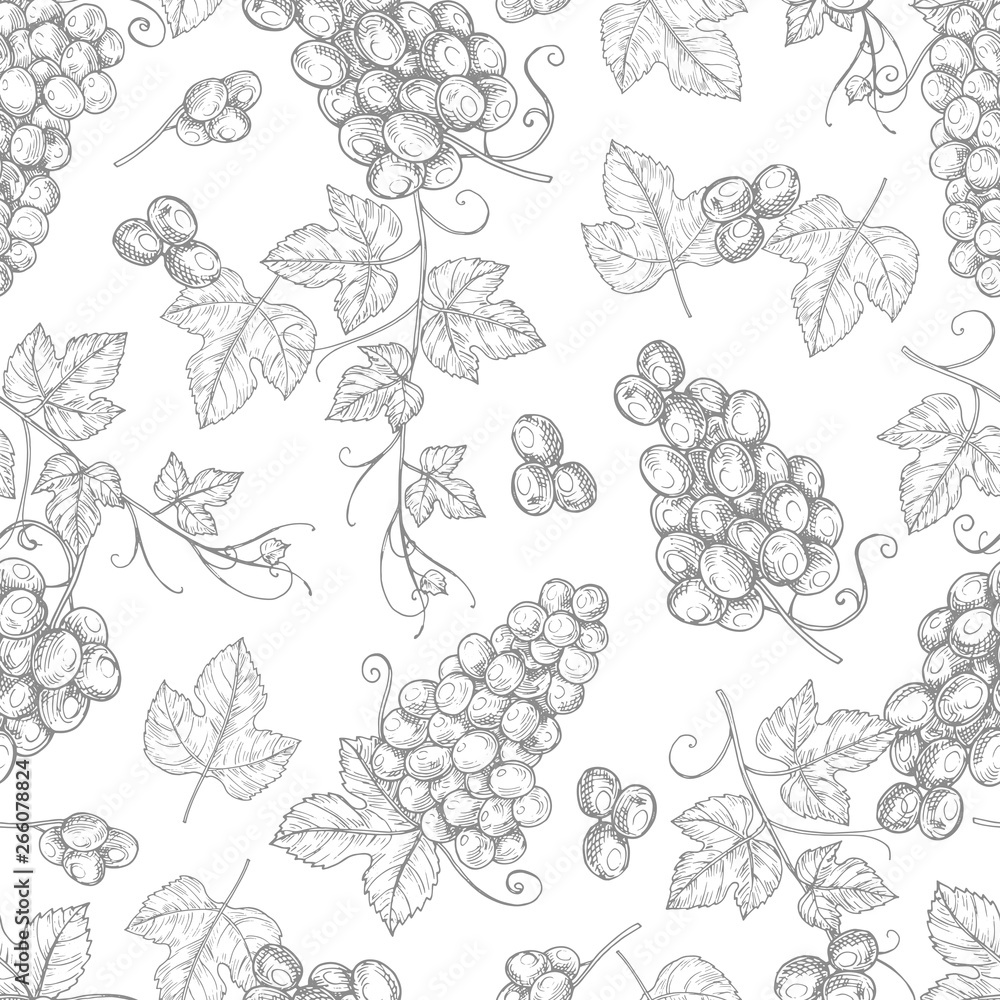 Poster sketch grapes seamless pattern vector texture background. illustration of seamless pattern vintage b