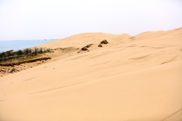 Fototapeta na wymiar Desert scenery