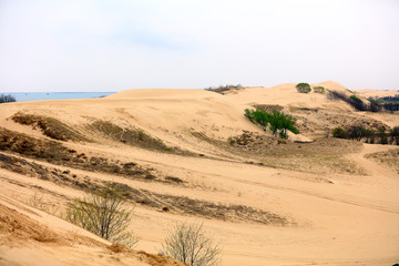 Fototapeta na wymiar Desert scenery