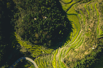 China Asian Terraced Mountains