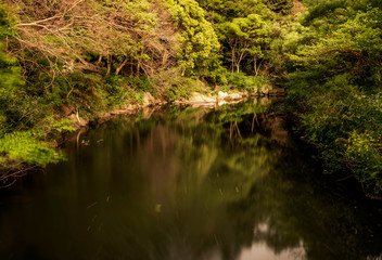 Fototapeta na wymiar landscape view of river in jeju, South Korea