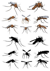  isolated, insect, mosquito, pest set
