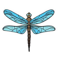  isolated, insect, dragonfly with lines, flies