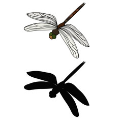 insect, dragonfly with silhouette, icon