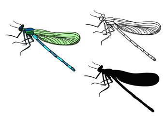 insect, dragonfly with silhouette and sketch, icon