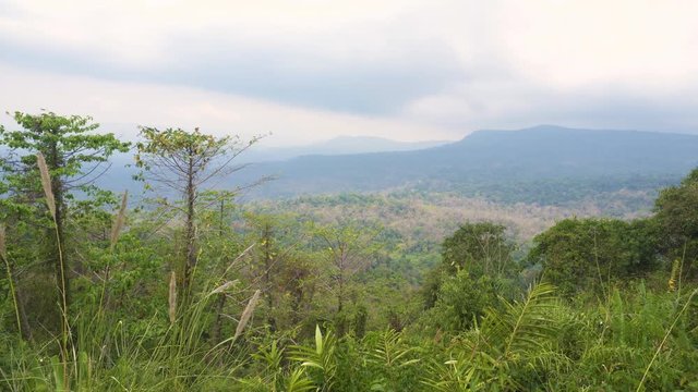 High view of tropical forest at Southeast Asia. Thailand. Pang Sida national park