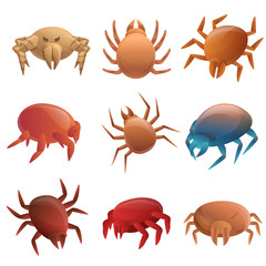 Mite icons set. Cartoon set of mite vector icons for web design