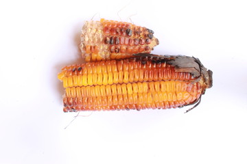 Fresh roasted or grilled corncobs. Grilled Corn or maize