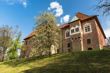 Fototapeta premium Late Gothic castle in Debno, near Tarnow,Lesser Poland,Poland