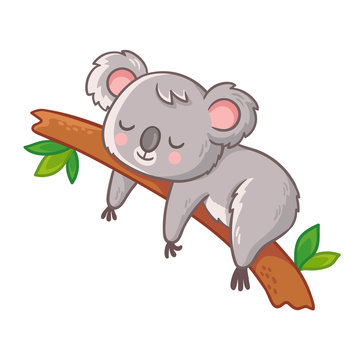 Cute Koala Is Sleeping On A Tree. Vector Illustration