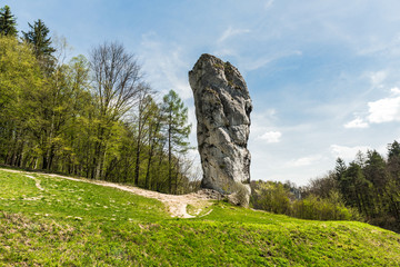 Limestone rock called "Maczuga Herkuklesa" (Hercules cudgel )  in Ojcow National Park near Krakow,Poland.