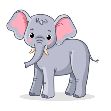 Elephant stands on a white background. Vector illustration