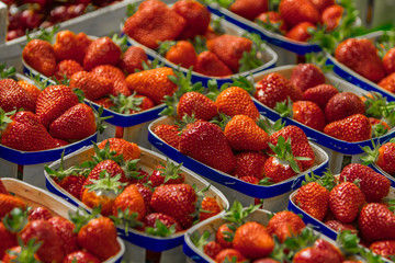 Close up of fresh red ripe strawberries in plastic container boxes