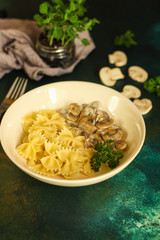 pasta farfalle with julienne mushrooms (fresh dish). food background. top