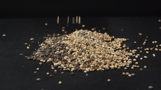 Falling seeds and a pile of dry mixed white/red peppers, coriander, cumin seeds of delicious spices. Slow motion and close-up footage in a studio. Cooking, food, background concept.