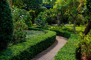 Fototapeta na wymiar Luxury landscape design of the tropical garden. Beautiful view of tropical landscape