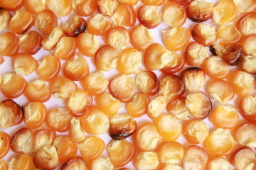 Bulk of yellow corn grains background