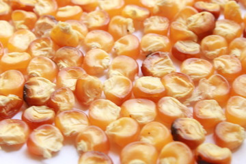 Food concept, corn seeds background.