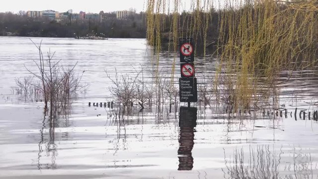 Park sign submerged in water during 2019 Ottawa Flooding.