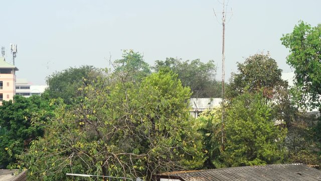Chiang Mai Cityscape view with green trees surrounding. Atmosphere covered with smog and toxic air.