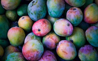 Fresh organic mango fruits in the market