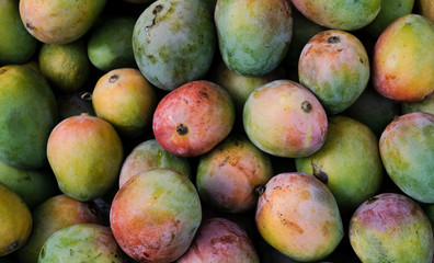 Fresh organic mango fruits in the market