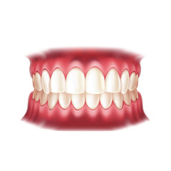 Realistic dentures for dentistry and orthodontics design. Vector human mouth with teeth for medical and toothpaste design. Healthy oral hygiene, jaw prosthesis concept.