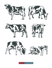 Cows set. Vector illustration. Template for your design works.