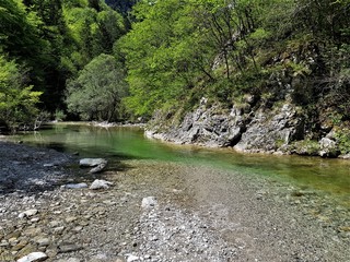 Mountan rivers in slovenia