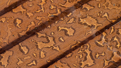 Wassertropfen verschiedene Formen mit Holzhintergrund