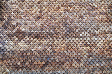 wooden roof shingles