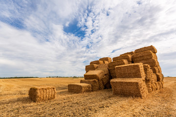 Landscape with bales of straw on the field © sokko_natalia