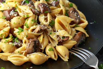Carbonara mushrooms pasta Conchiglie with creamy sauce, parmesan cheese and herbs