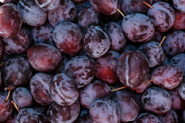 Close up of ripe fresh plums, top view 