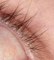 Eyelashes in front of the boy, Macro