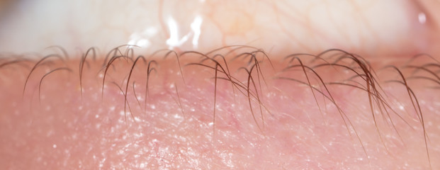 Fototapeta premium Eyelashes in front of the boy, Macro
