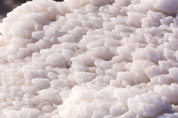 Dead Sea salt deposits stones white crystals