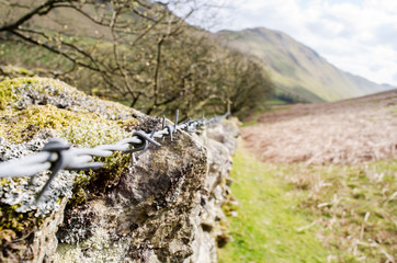 Stone Wall with Barb Wire Through Field