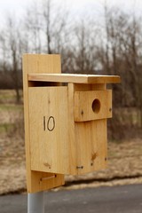 A close view of the old wooden birdhouse on a pole.
