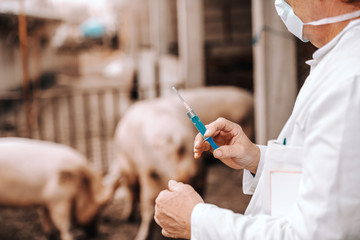 Veterinarian in white coat and protective mask on holding clipboard under armpit and preparing to...