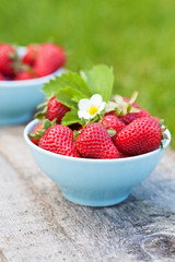 Fresh sweet strawberries in the bowl, selective focus