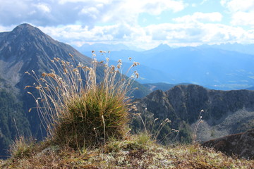 Tiroler Berge
