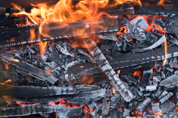 Open fire with flaming wood. Background texture..