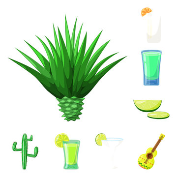 Vector design of Mexico and tequila symbol. Collection of Mexico and fiesta vector icon for stock.